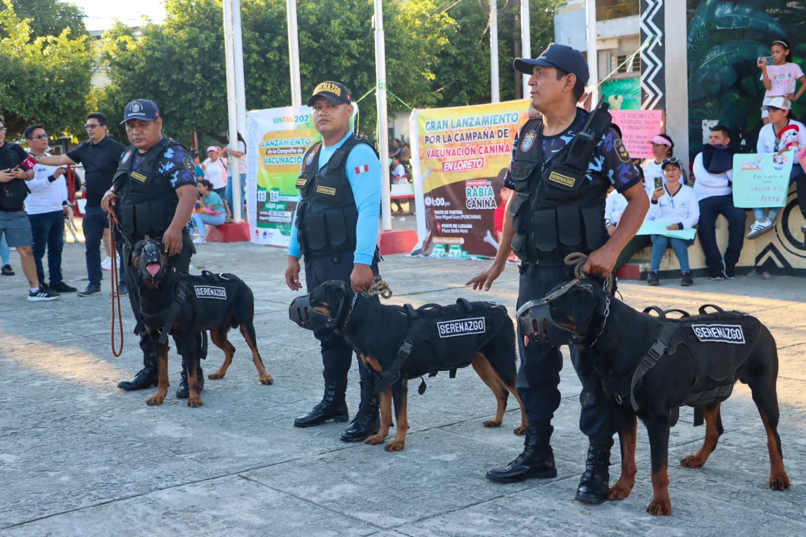 𝗚𝗥𝗔𝗡 𝗟𝗔𝗡𝗭𝗔𝗠𝗜𝗘𝗡𝗧𝗢 𝗗𝗘 𝗟𝗔 𝗖𝗔𝗠𝗣𝗔𝗡̃𝗔 𝗗𝗘 𝗩𝗔𝗖𝗨𝗡𝗔𝗖𝗜𝗢́𝗡 𝗖𝗔𝗡𝗜𝗡𝗔 𝗘𝗡 𝗟𝗢𝗥𝗘𝗧𝗢 𝗖𝗢𝗡 𝗖𝗢𝗟𝗢𝗥𝗜𝗗𝗢 𝗣𝗔𝗦𝗔𝗖𝗔𝗟𝗟𝗘