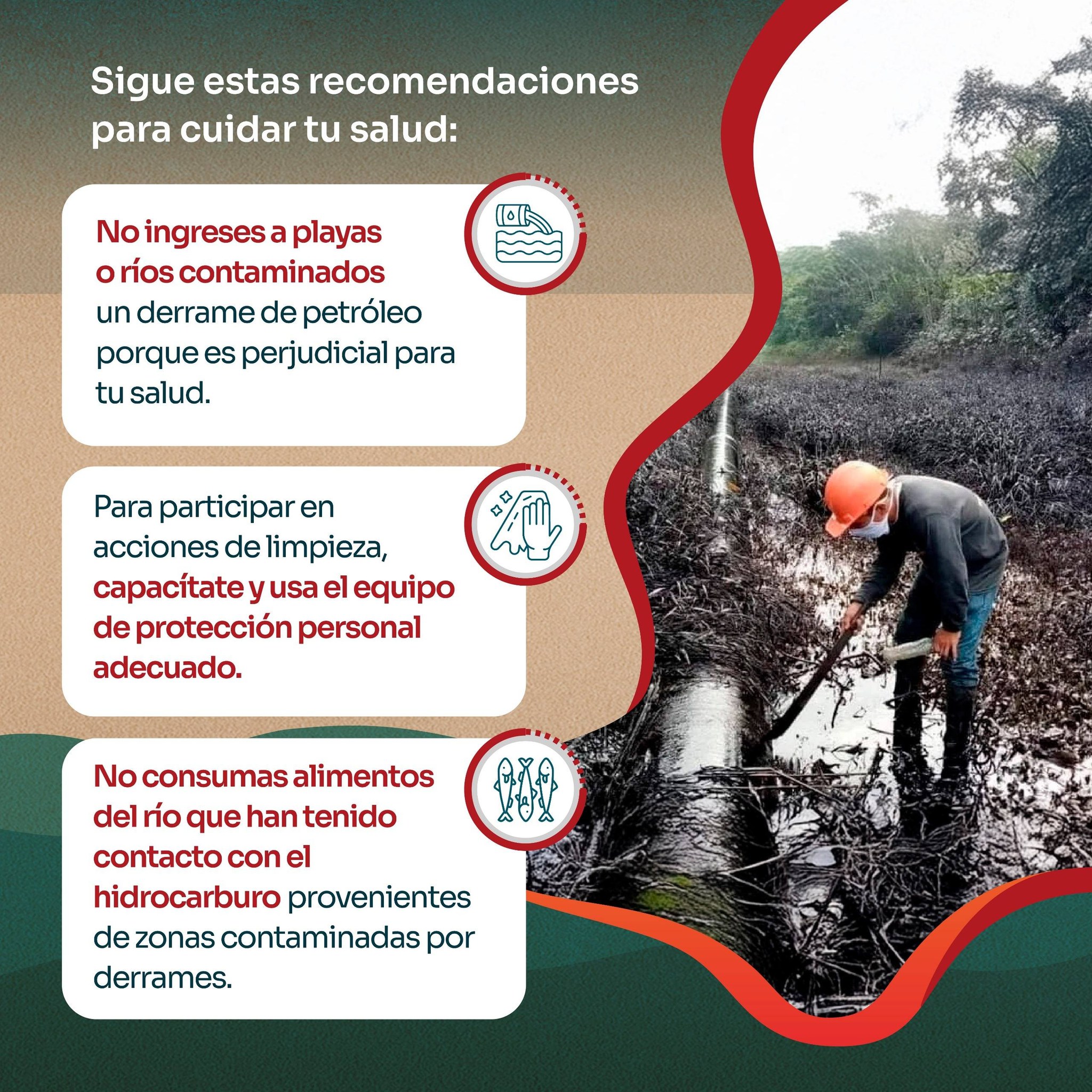 Imagen noticia